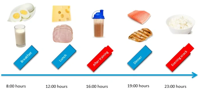 Timing and Distribution When to Eat Protein e1748252588432